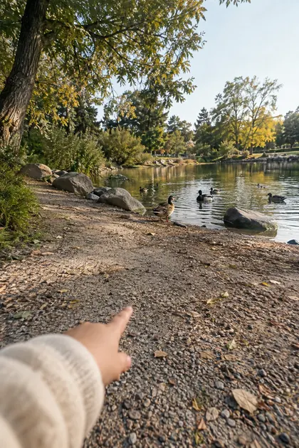 A little hand points at ducks on a pond at the end of a park path